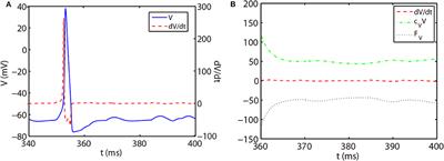 Exponential Time Differencing Algorithm for Pulse-Coupled Hodgkin-Huxley Neural Networks